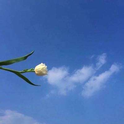 神魔诸天手游官方