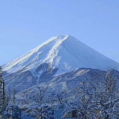 光明大陆果盘版本下载