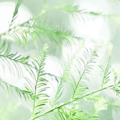 冲击英雄中文手机版下载